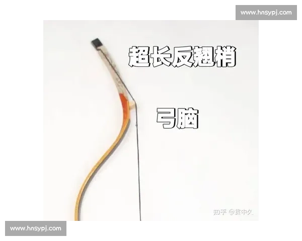 射箭比赛常用弓具介绍及不同类型弓的选择标准